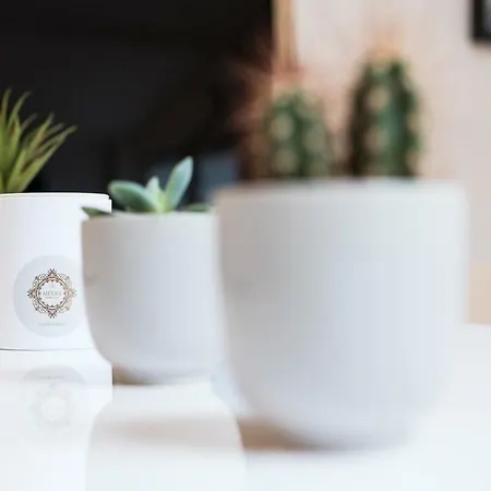 شقة Calm And Cosy Vieux *